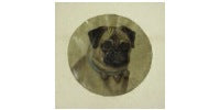 history of fashion dog collars