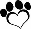 Showing your pet some love this Valentines Day