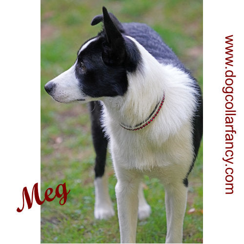 Ruby Queen crystal dog collar model