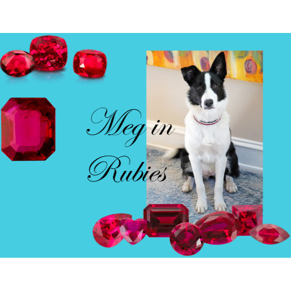 The Ruby Queen dog collar model