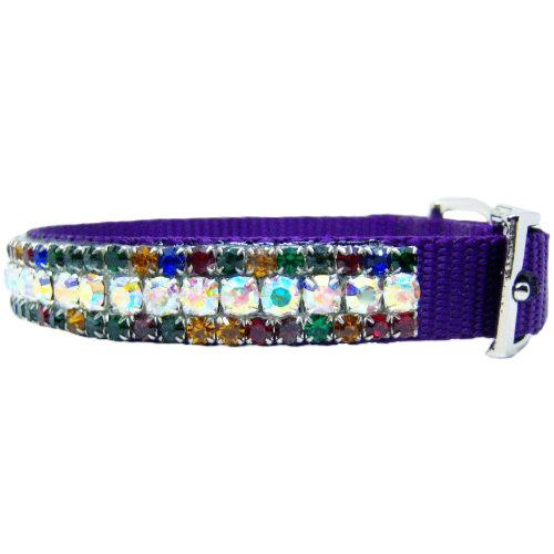 Aurora Borealis and multicolored collar side view