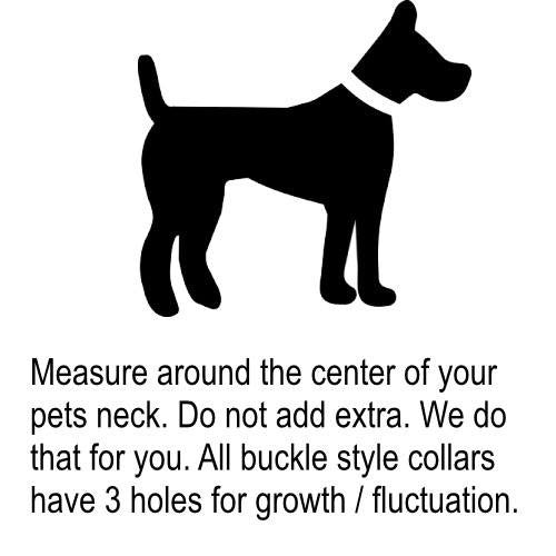 Midnight Flash crystal dog collar sizing