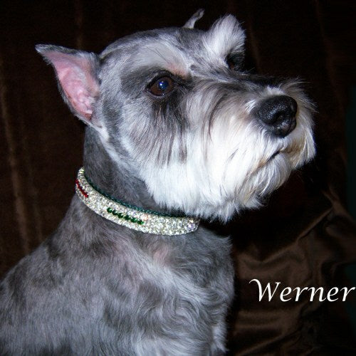 Holiday Lights Swarovski Pet Collar - For dogs and cats - dog-collar-fancy
