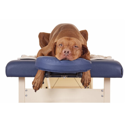 How To Massage Your Dog
