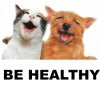 All natural dog treats from free range meats, bully sticks and freeze dried treats.