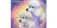 Grooming instructions to groom your pet at home