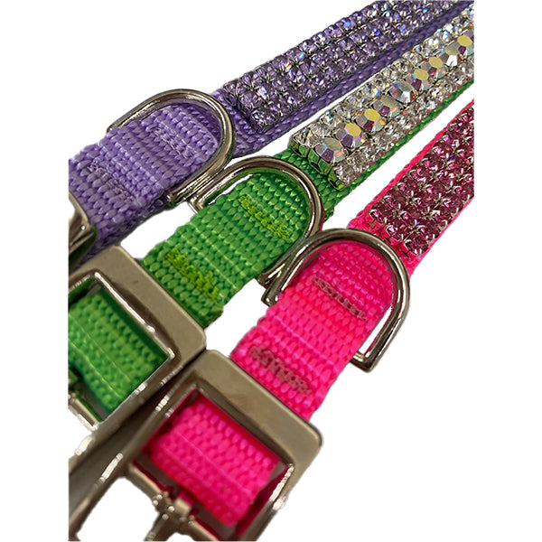Custom dog collars, custom cat collars, personalized collars.