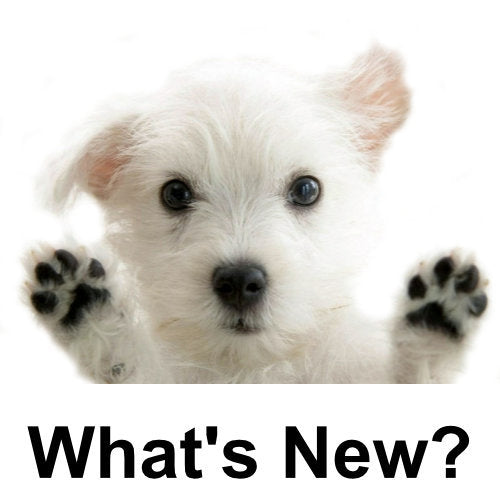 New pet collars, dog clothes and more at Dog Collar Fancy