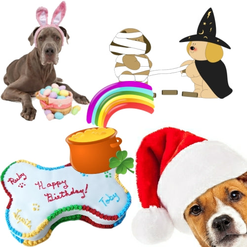 Pet holiday products, dog birthday cakes and treats.