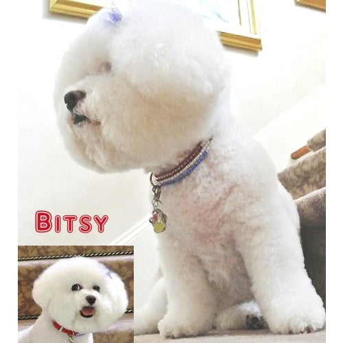USA Sparkle Patriotic Pet Collar - For dogs and cats - dog-collar-fancy