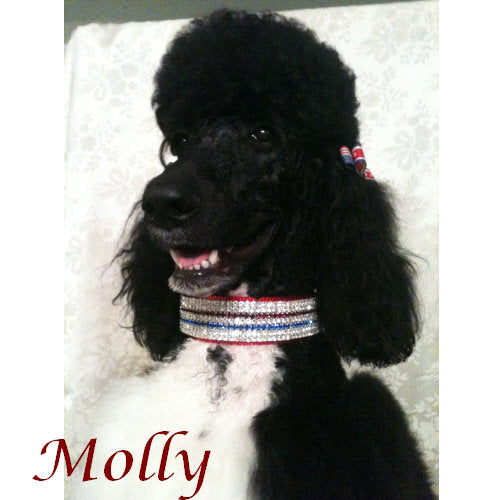 1 1/2 Inch wide Crystal Patriotic Dog Collar model dog
