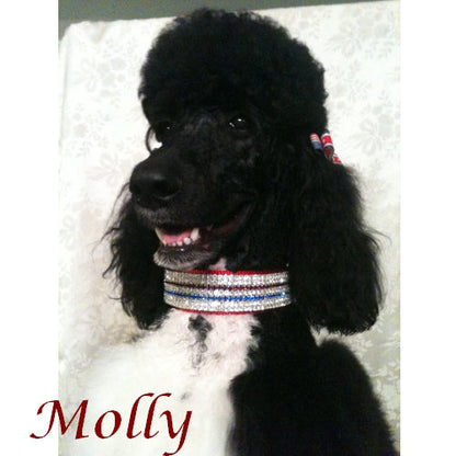 1 1/2 Inch wide Crystal Patriotic Dog Collar model dog