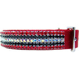 Fantasy Flash crystal dog collar side view