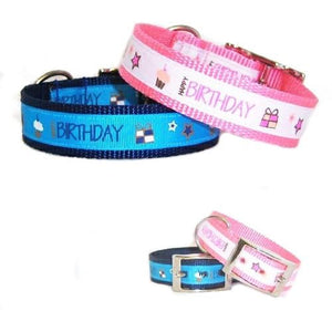 Happy Birthday Dog Collar - For medium to large dogs - dog-collar-fancy