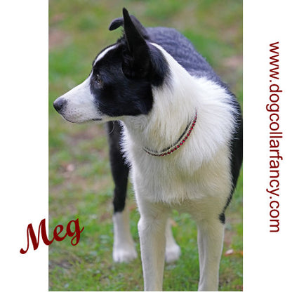 Ruby Queen crystal dog collar model