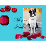 The Ruby Queen dog collar model