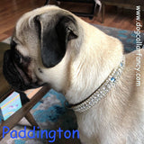 Dog Model for Crystal Treasures fancy dog collar