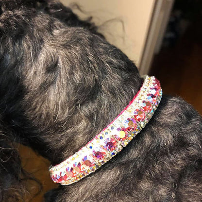 Ultimate Beauty crystal dog collar model