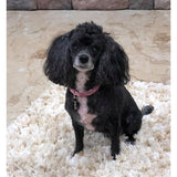 Sweet Girl crystal pet collar dog model