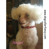 Pink Strawberries Crystal Pet Collar - For dogs and cats - dog-collar-fancy