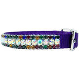 Aurora Borealis and multicolored collar side view