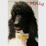 Designer Easter dog Collar model dog