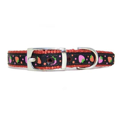 Chocolate Strawberries Pet Collar - For dogs and cats - dog-collar-fancy