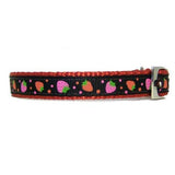 Chocolate Strawberries Pet Collar - For dogs and cats - dog-collar-fancy