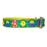 Easter Eggs and Chicks Collar - For dogs and cats - dog-collar-fancy