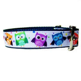 Happy Owls Decorative Dog Collar - For medium to large dogs - dog-collar-fancy