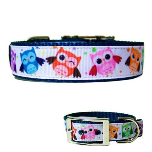 Happy Owls Decorative Dog Collar - For medium to large dogs - dog-collar-fancy