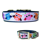 Happy Owls Decorative Dog Collar - For medium to large dogs - dog-collar-fancy