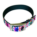 Bright Easter Eggs Pet Collar - For dogs and cats - dog-collar-fancy