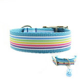 Easter Stripes Dog Collar - For dogs and cats - dog-collar-fancy
