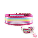 Easter Stripes Dog Collar - For dogs and cats - dog-collar-fancy