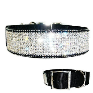 Formal Fabulous 2 Inch Crystal Dog Collar - For large dogs - dog-collar-fancy
