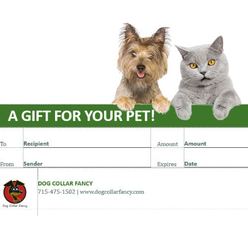 Dog Collar Fancy Gift Certificate - Dog Collar Fancy - dog-collar-fancy