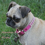 Kiss Me Pretty Crystal Pet Collar - For dogs and cats - dog-collar-fancy
