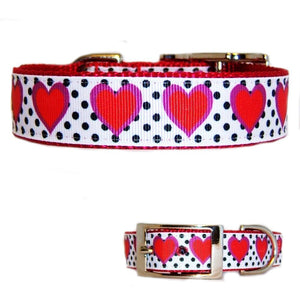 Hearts and Dots Printed Pet Collar for dogs and cats