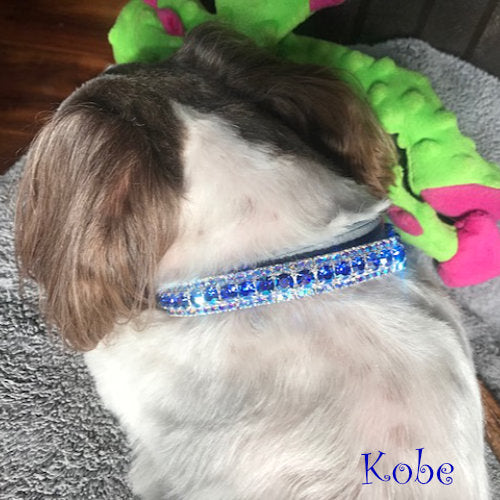 The Flashy Pooch Crystal Pet Collar - For dogs and cats - dog-collar-fancy