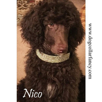 Fancy Black Diamonds 2 Inch Wide Crystal Dog Collar model