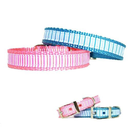 Pinstripe Cutie Decorative Pet Collar - For dogs and cats - dog-collar-fancy
