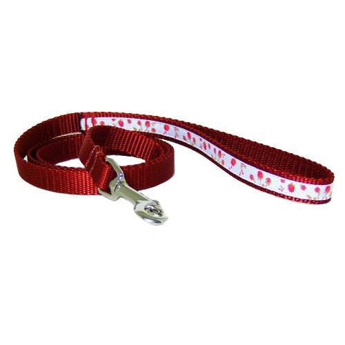 Pretty Roses Decorated Pet Leash - 5/8 inch wide leash - dog-collar-fancy