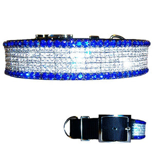 1 1/2 wide Bling Sapphire Dog Collar - For medium to large dogs