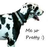 Custom Crystal Pet Collar Large - For medium to large dogs - dog-collar-fancy
