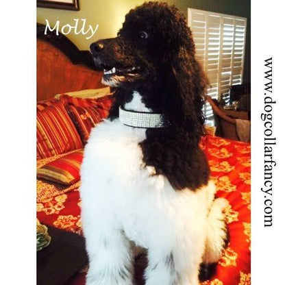 Sparkle Diamonds 2 Inch Wide Crystal Dog Collar - For large dogs - dog-collar-fancy