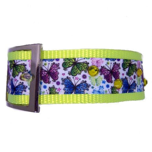 Butterflies Galore Large Dog Collar - For large dogs - dog-collar-fancy