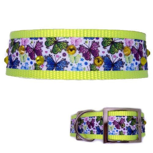 Butterflies Galore Large Dog Collar - For large dogs - dog-collar-fancy