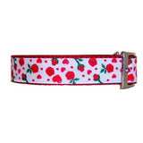 Sweet Roses Decorative Dog Collar - For dogs and cats - dog-collar-fancy