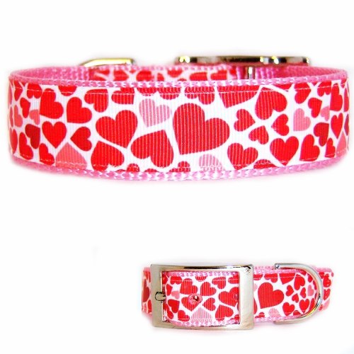 Scattered Hearts Printed Pet Collar - For dogs and cats - dog-collar-fancy